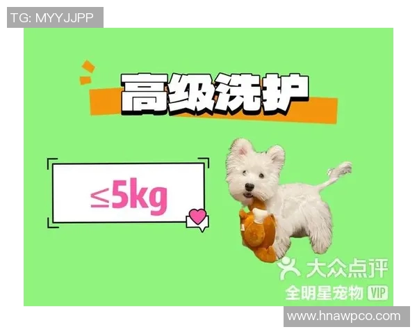 足球球星与宠物猫的独特情缘揭秘：宠物陪伴下的明星生活与温情瞬间